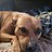 Olddog2270