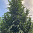 XFARMER