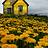 YellowHouse