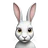 BionicRabbit