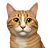 catpawws