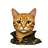 csofie