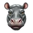 hphuy1999