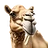 Ibsaa