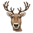 janrudolph