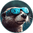 luodian