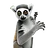 OlivierSchmittSonar