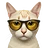 theothecat