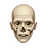 xtri