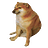 yuchaozhao