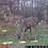 john_bubber