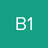 b1cyclist
