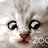 codeable.testing