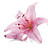 floprete111