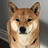 kyau