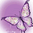 steeves_t