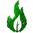 Vernum