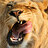 LionByDesign
