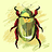 Amith_Anil_George Amith_Anil_George
