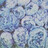 anusha_garimella anusha_garimella