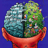 brainsurgeon-coder brainsurgeon-coder