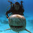 Emil_M Emil_M