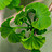 fernando_molas_garci fernando_molas_garci