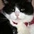 Henning_Klos Henning_Klos