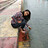 Mohini_Gupta Mohini_Gupta