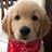 Sriram_Muthu Sriram_Muthu