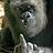 bABoon