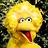 bigbird61