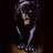 Black_Cat