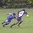 Halfback
