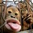 monkeymeat