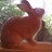 MoonBunny