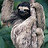 SlothGuy
