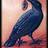 T_Raven