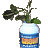 tbared