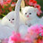 Ashwini_Ashu