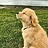 POORNA_KANNAN