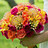 saisree_bollam
