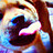 Sullivan_P