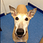 Jeffery_Frederick