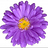 lhilton2953