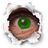 TODDMAN309