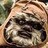 Ewok