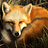 FoxeyesOnly