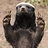 Honey_Badger