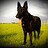 k9jct